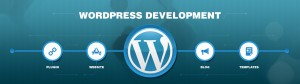 wordpress development