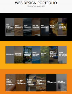 portfolio