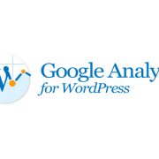 Wordpress and Google Analytics