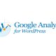 Wordpress and Google Analytics