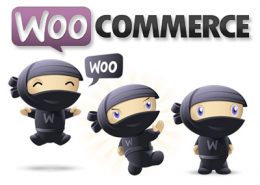 WooCommerce